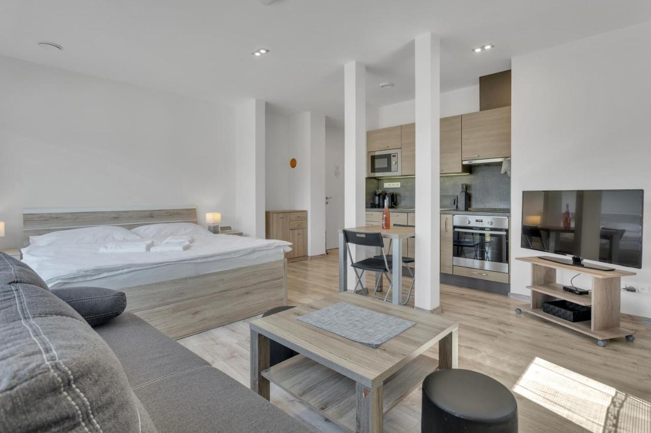 Family Apartments Klinovec Loučná pod Klínovcem Esterno foto