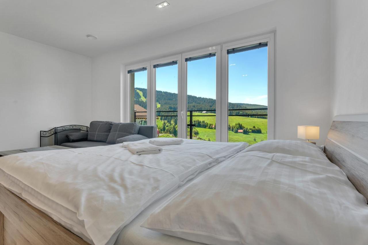 Family Apartments Klinovec Loučná pod Klínovcem Esterno foto